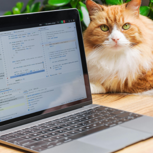 Smart Tech Enabled Pet Products