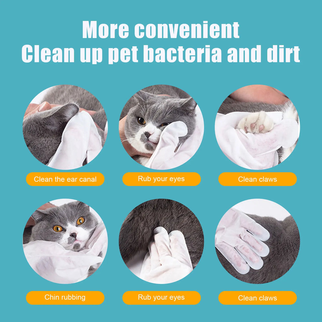 6PCS Natural Disposable Pet Cleaning Gloves