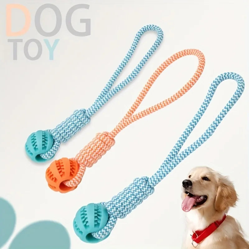 Tug Rope With Treat Ball