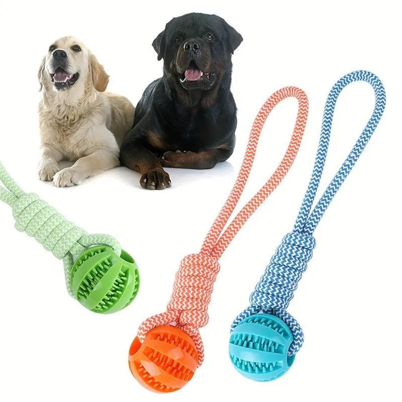 Tug Rope With Treat Ball