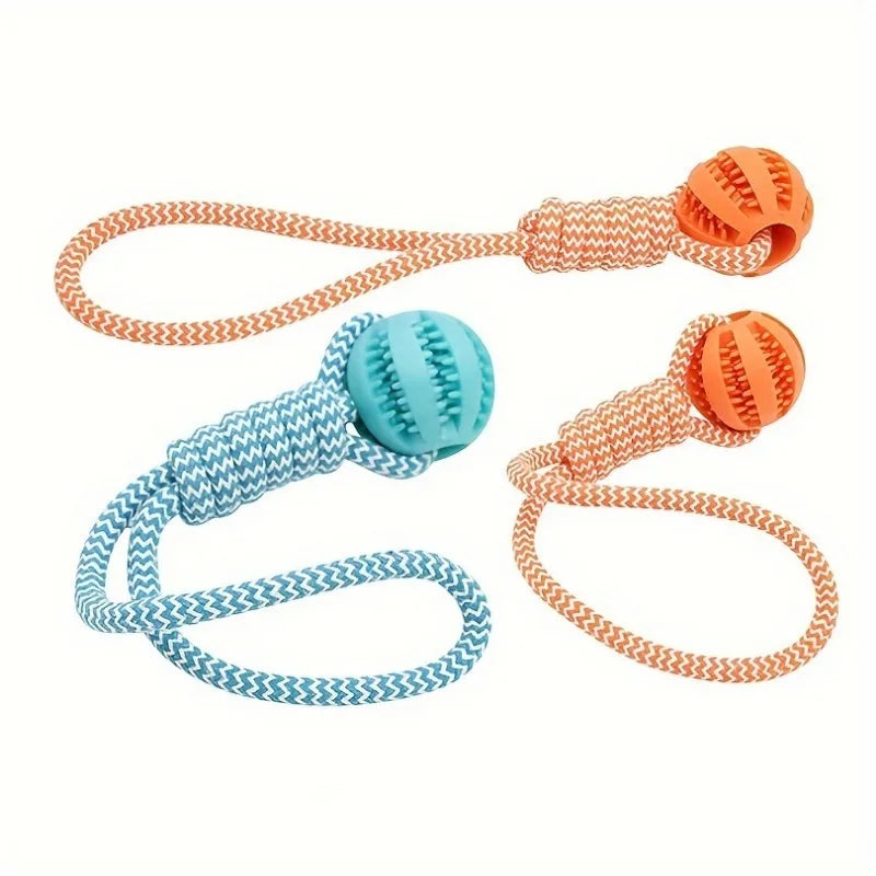 Tug Rope With Treat Ball