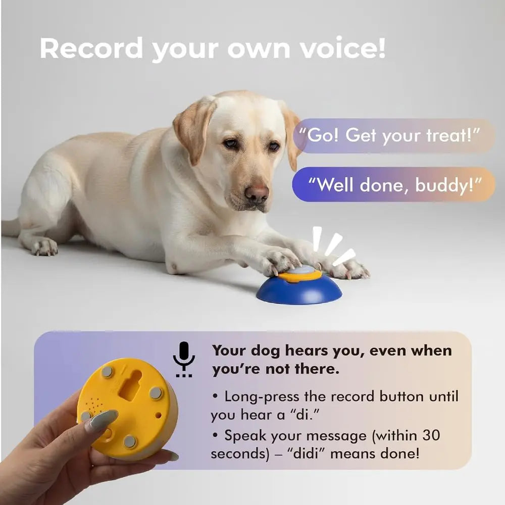 IQ Training & Slow Feeder with Remote Button