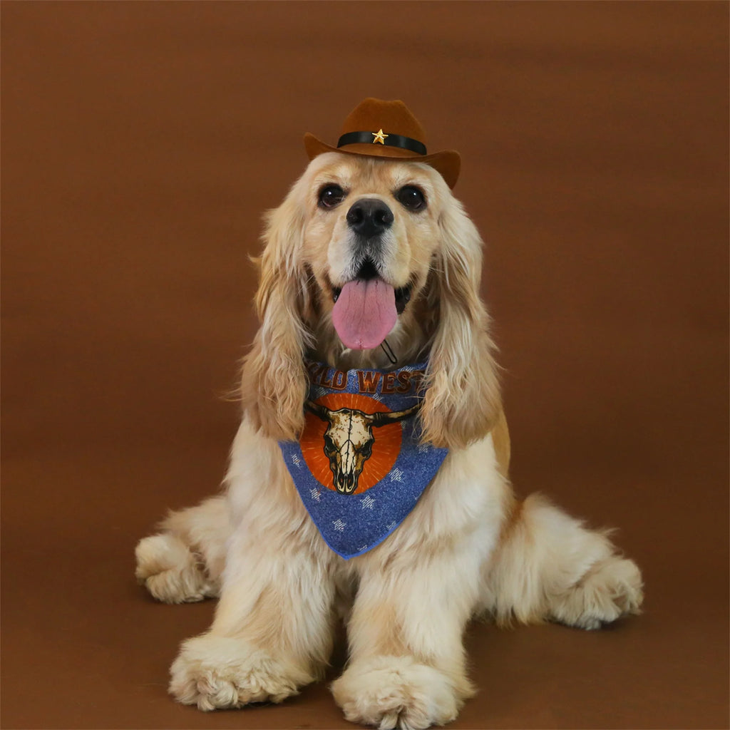Vintage Dog Cowboy Costume