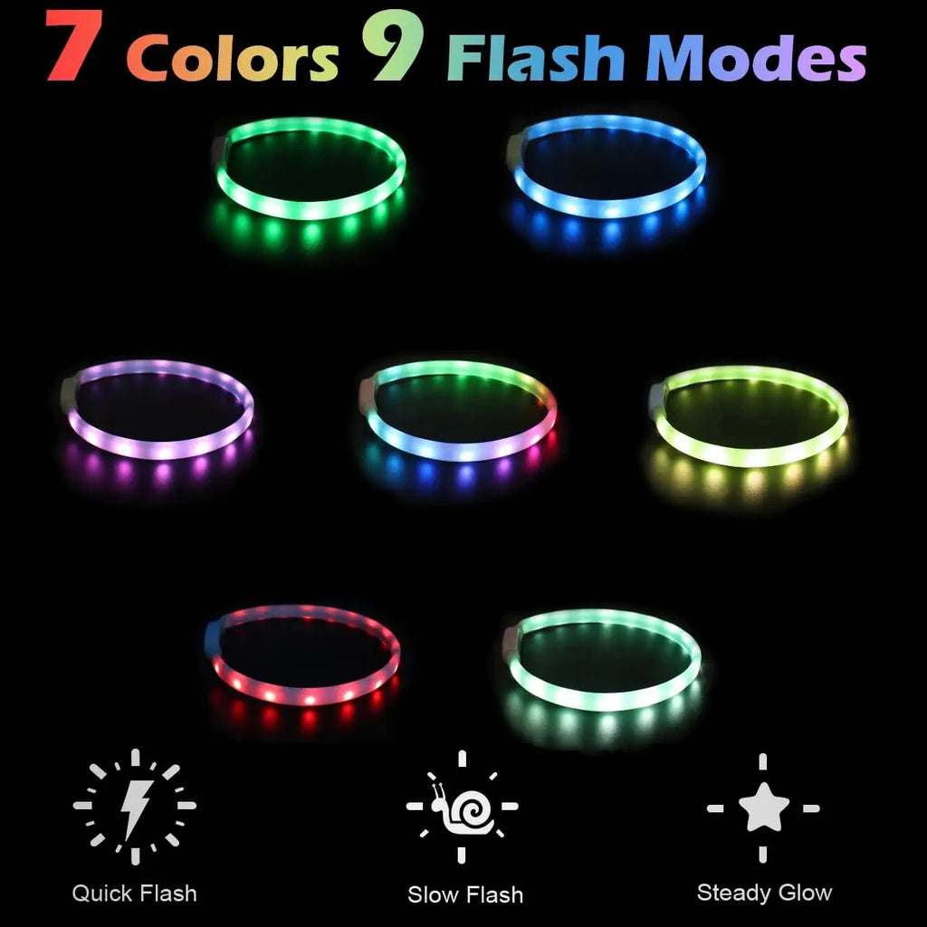 USB Rechargeable Glowing Dog Collar