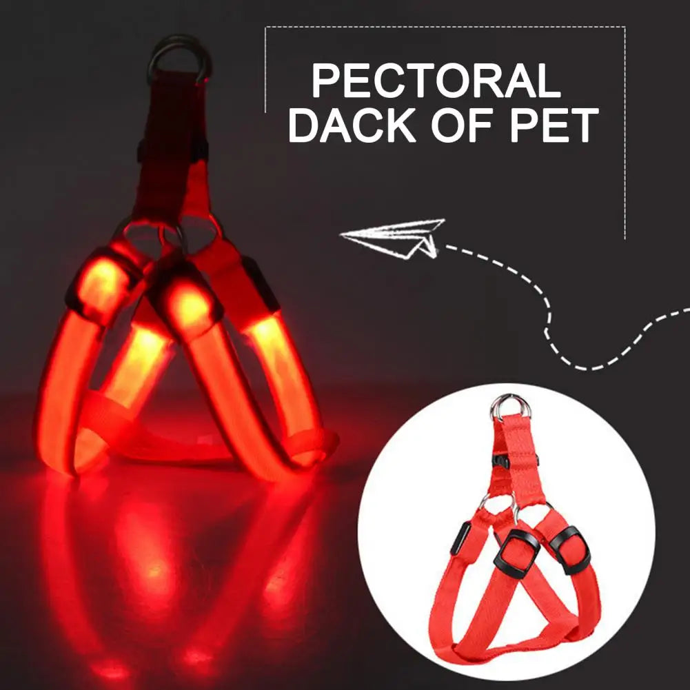 USB Rechargeable LED Pet Harness