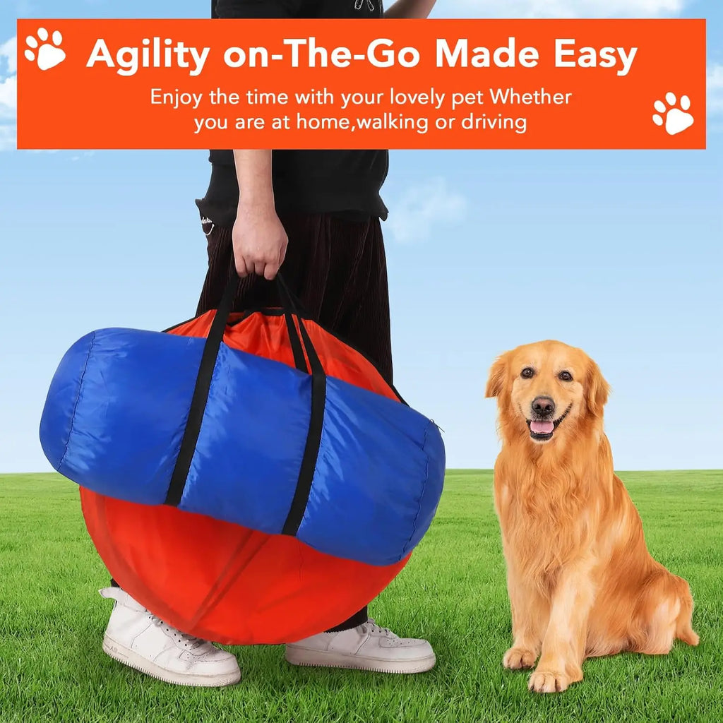 Complete Dog Obstacle Course