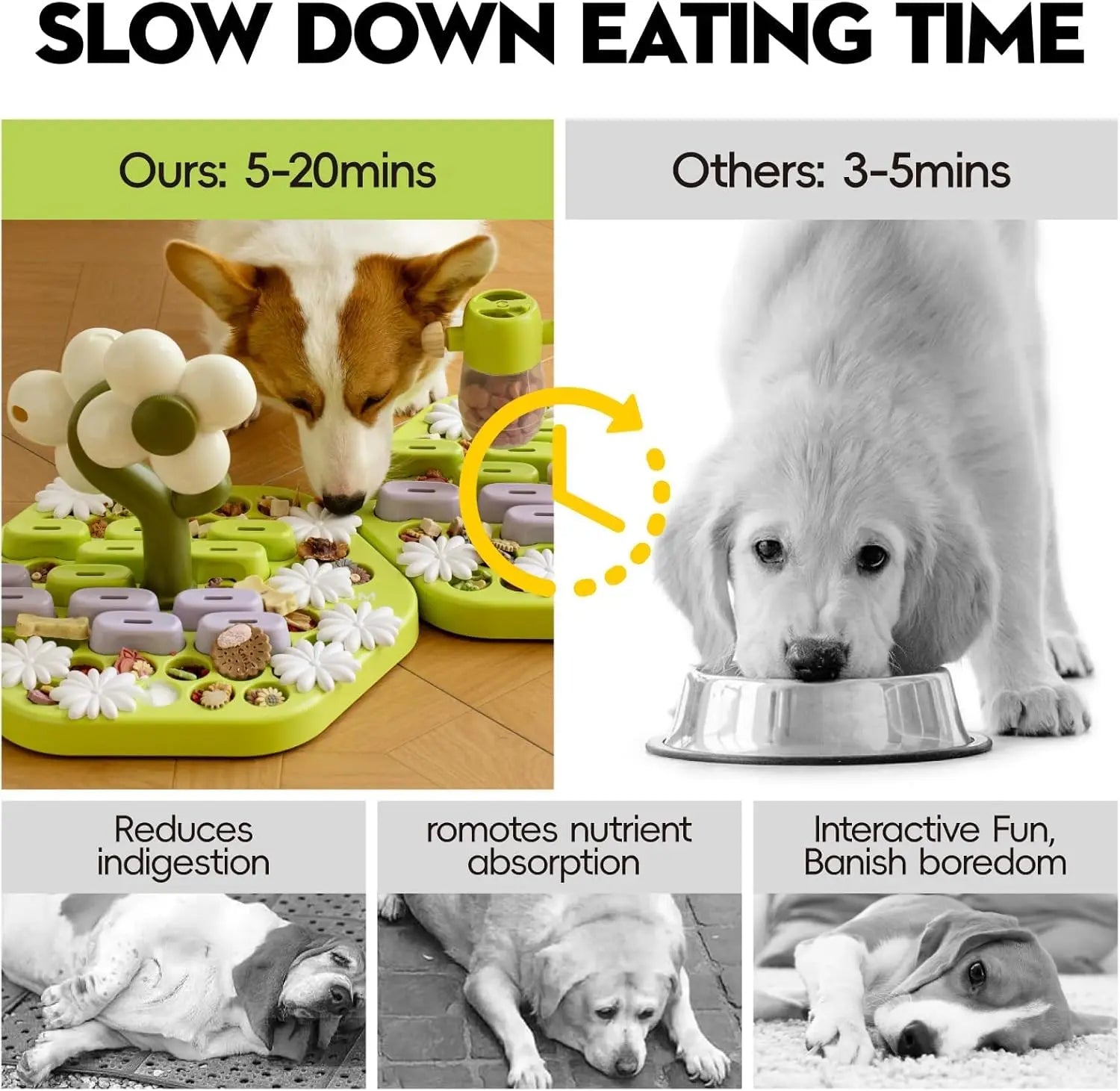 Dog Treat Puzzle Feeder