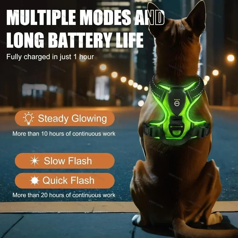 Led luminous Dog Harness
