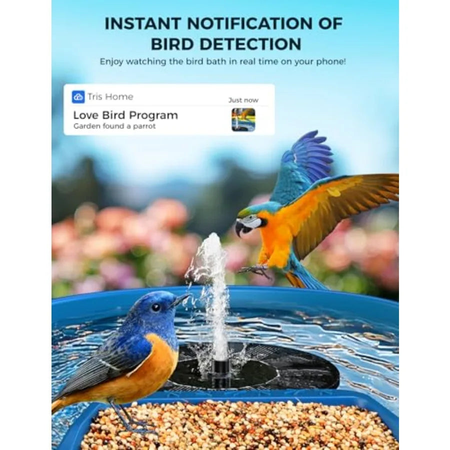 Smart Bird Feeder with Camera and Bird Bath