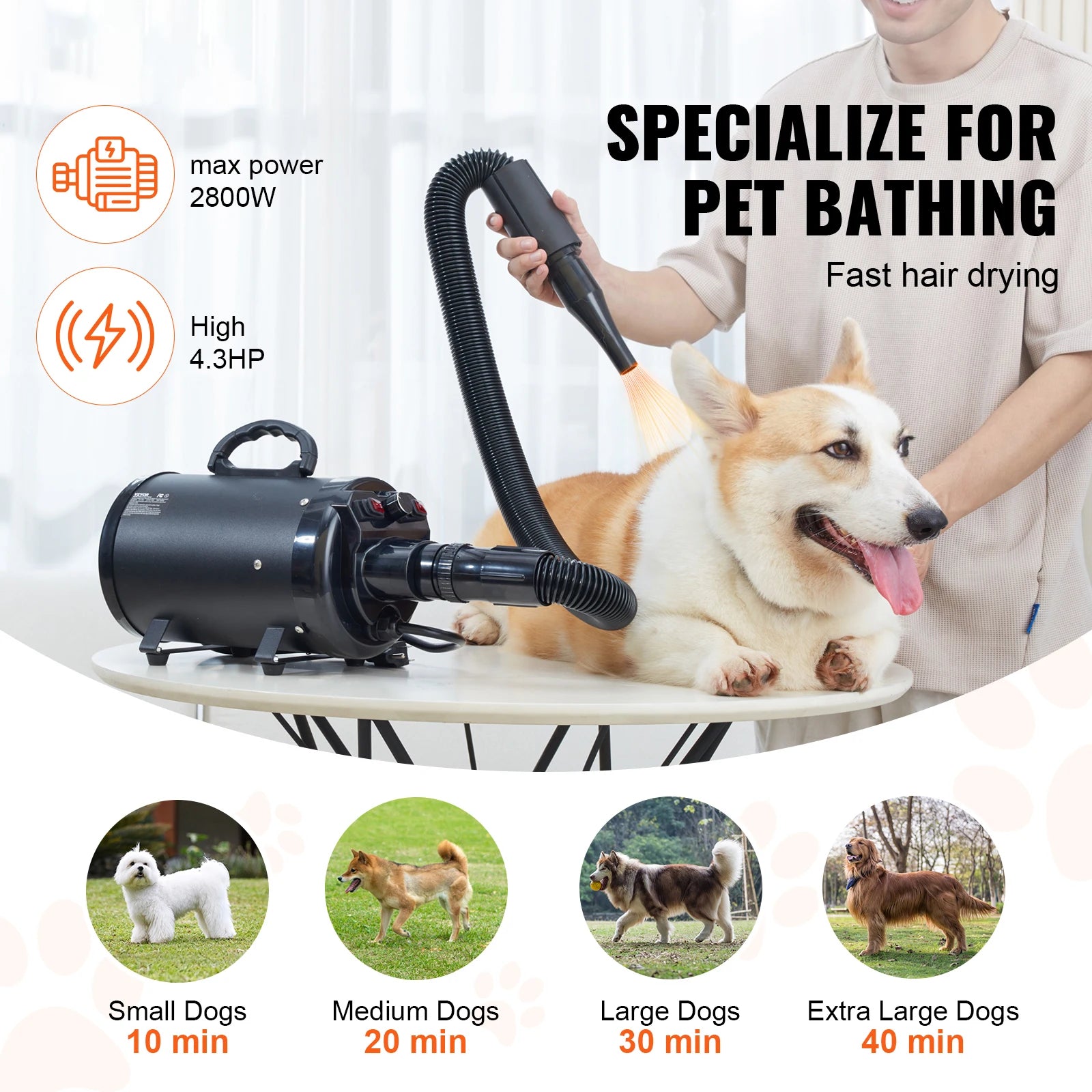 Pet Hair Blow Dryer
