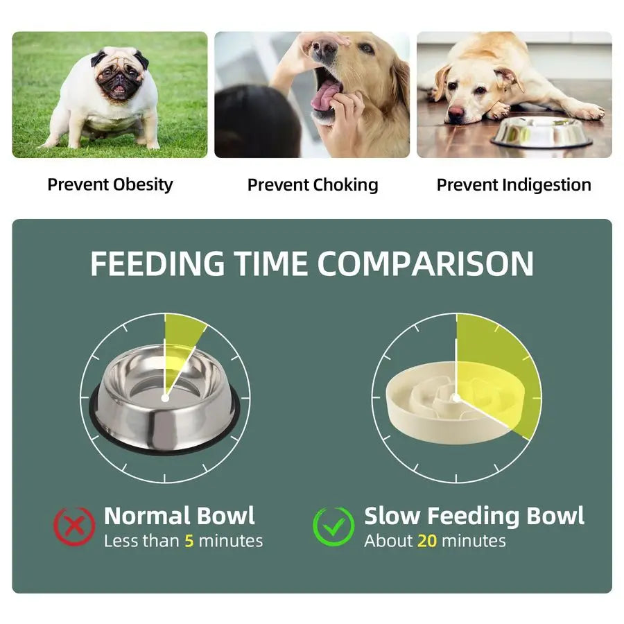 Raised Slow Feeder Dog Bowl 🐶