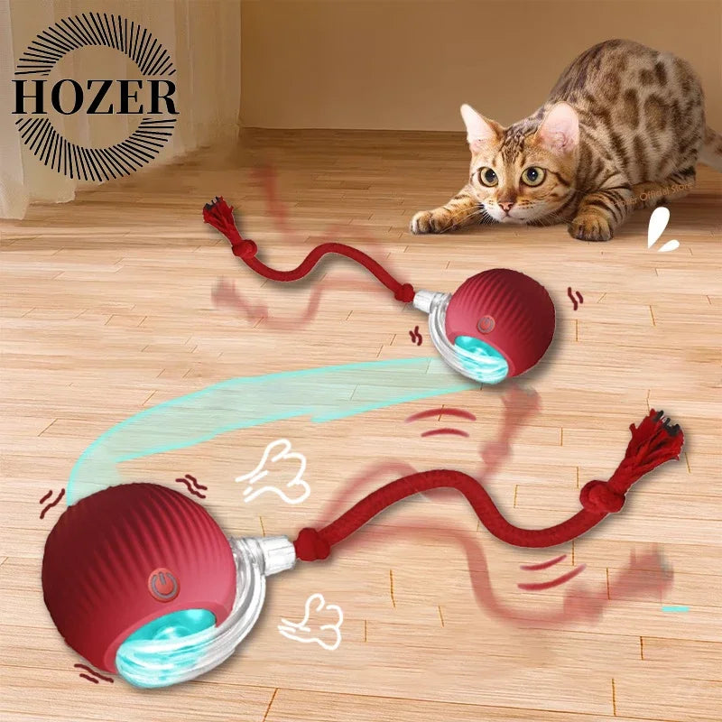 Interactive Ball & Rechargeable Mouse