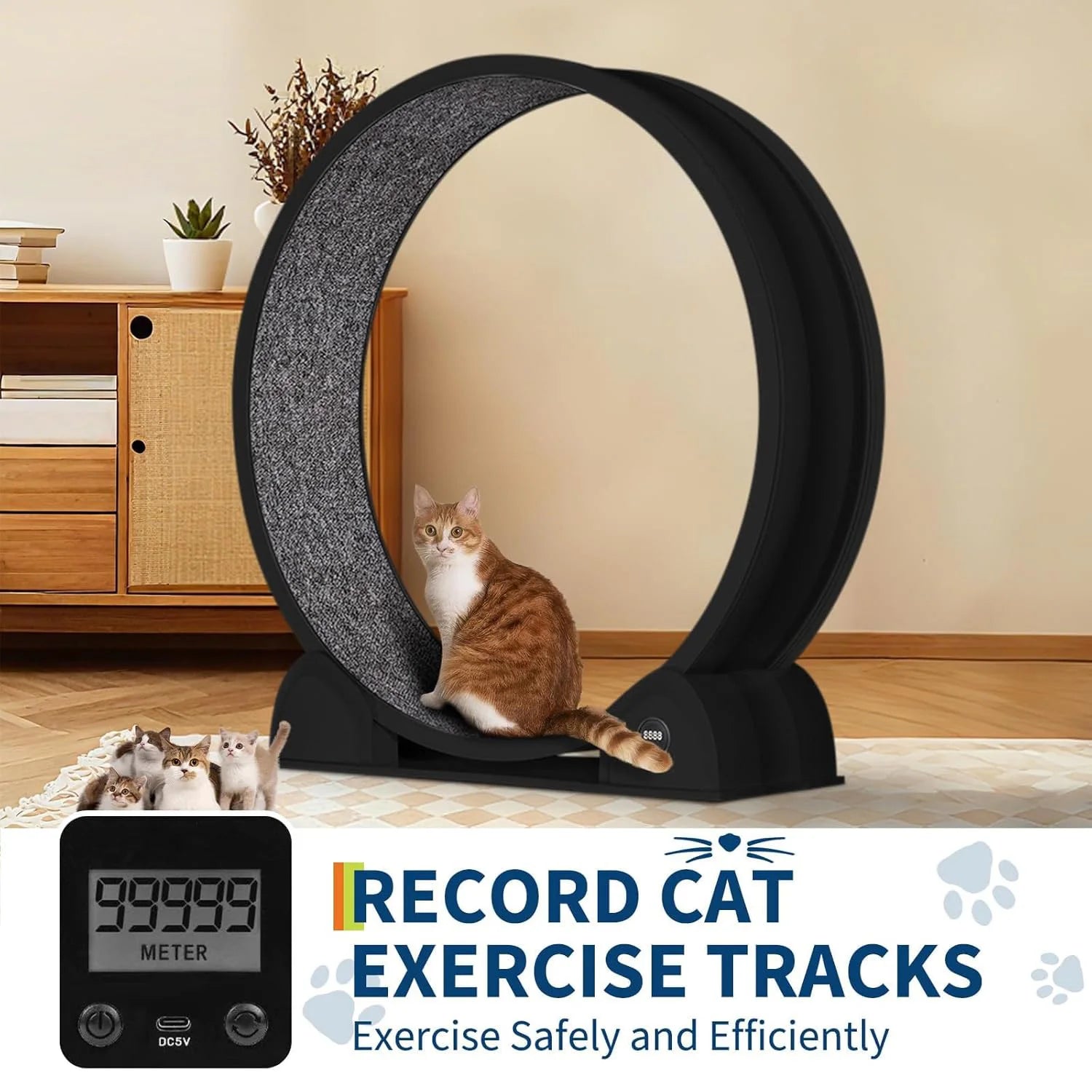 45" Treadmill For Cats With Smart Pedometer