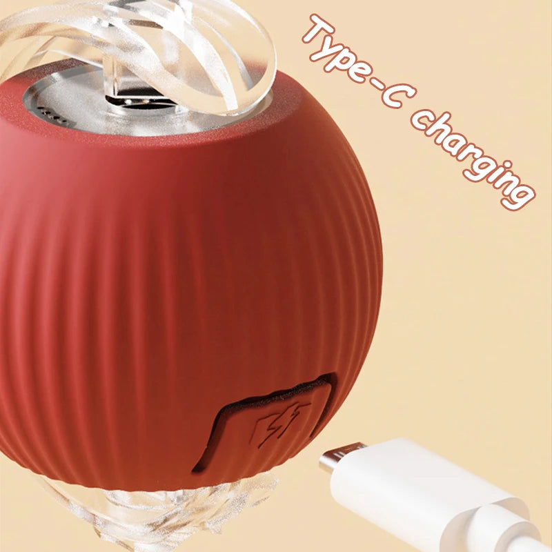 Interactive Ball & Rechargeable Mouse