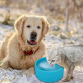 Heated Anti-Freeze Pet Water Dish