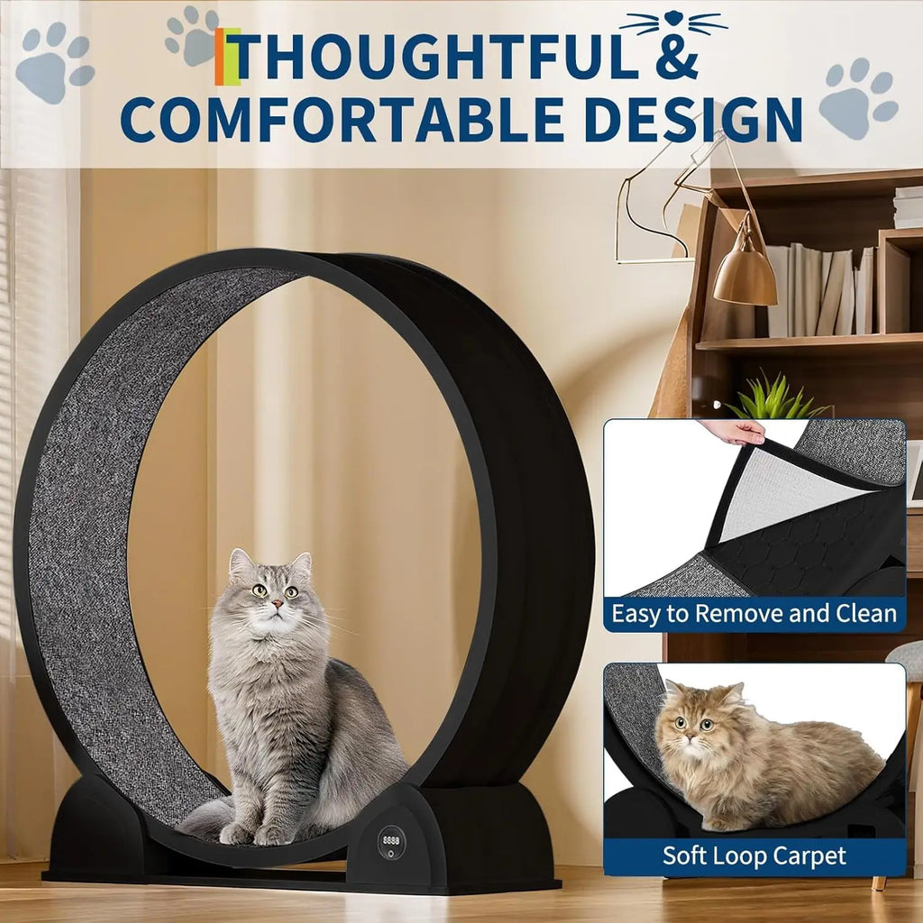 45" Treadmill For Cats With Smart Pedometer