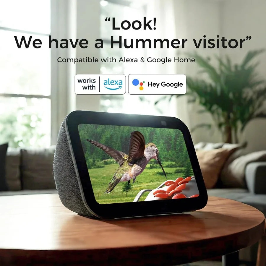 Solar Powered Glass Smart Hummingbird Feeder with Camera