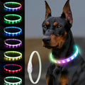 USB Rechargeable Glowing Dog Collar