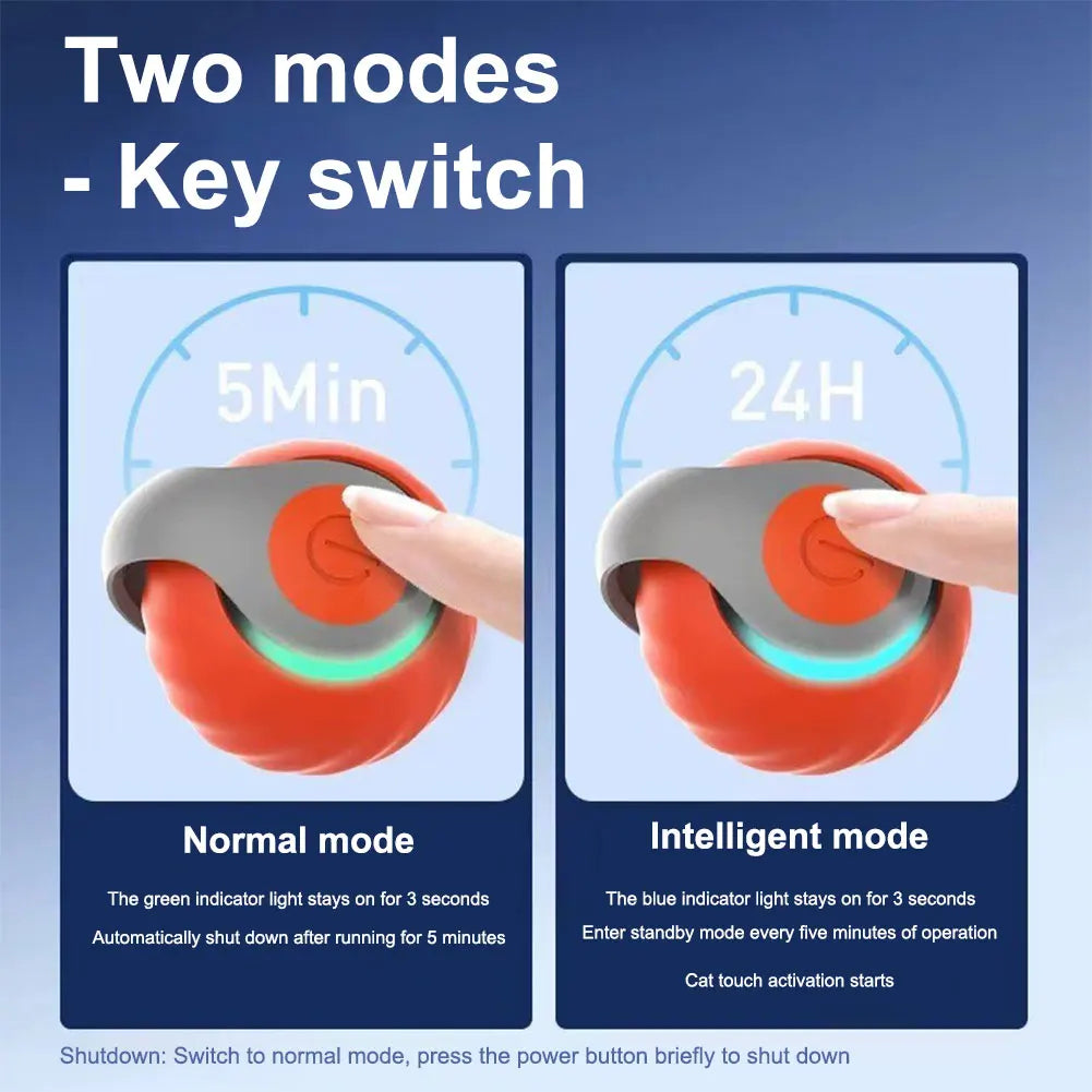 Electronic Interactive Pet Ball