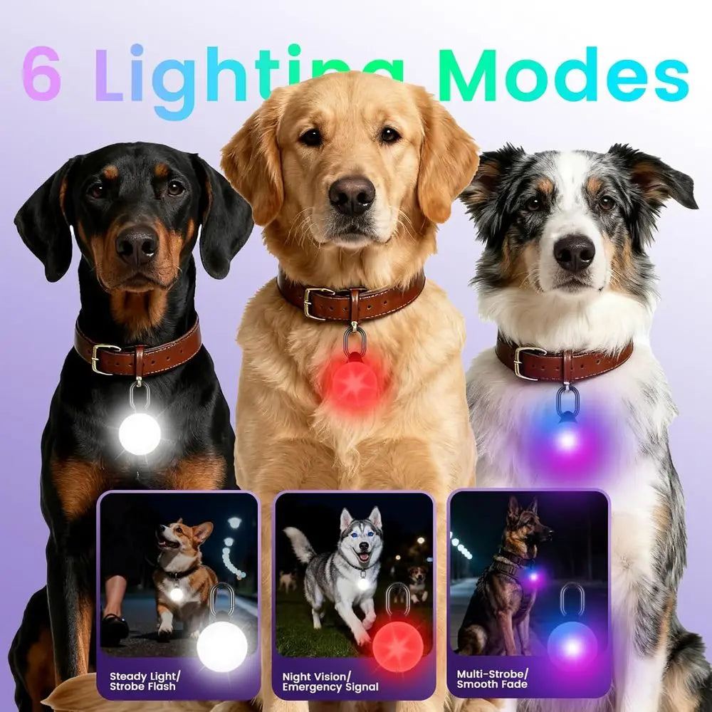 Waterproof GPS Tracker & Dog Light