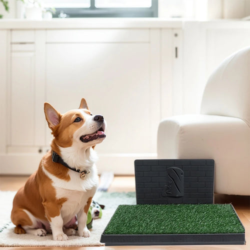 Artificial Grass Training Pads