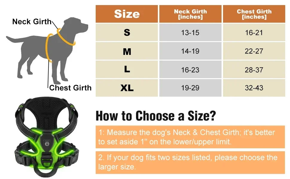 Led luminous Dog Harness
