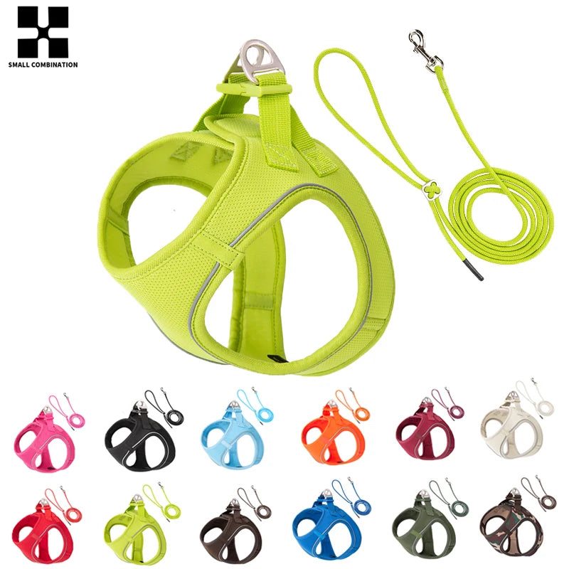 Small Pets Reflective Harness & Leash