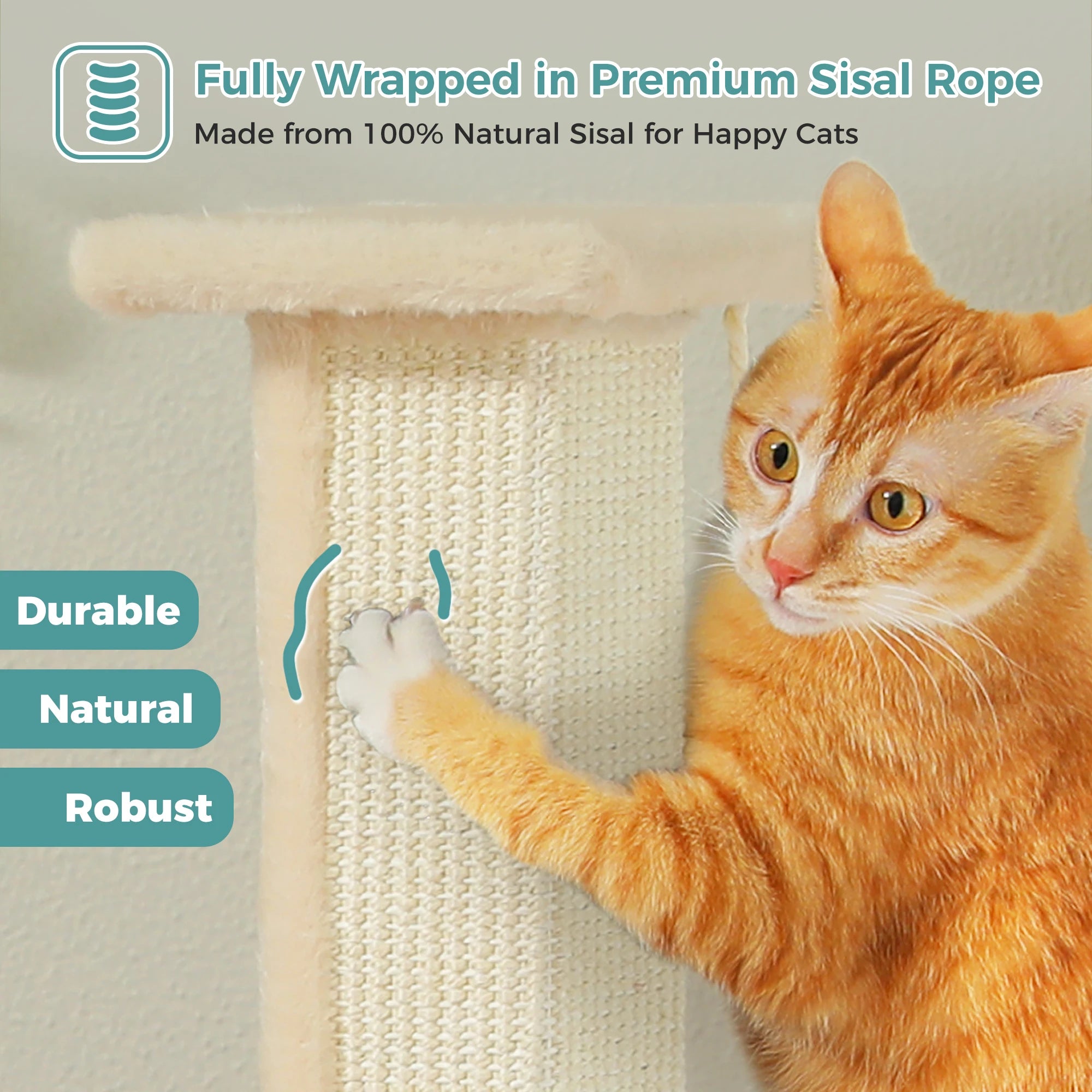 Ultimate Cat Scratch Post