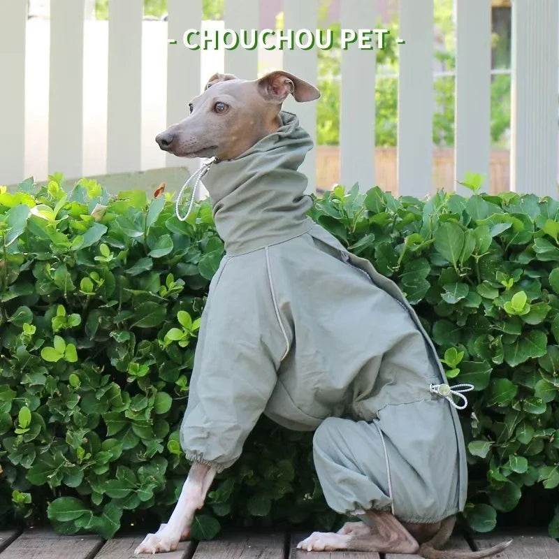 Italian Greyhound Raincoat