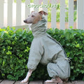 Italian Greyhound Raincoat
