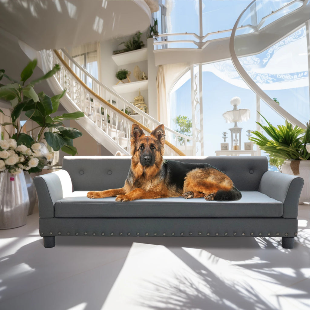 Modern Dog Sofa for Large Dogs