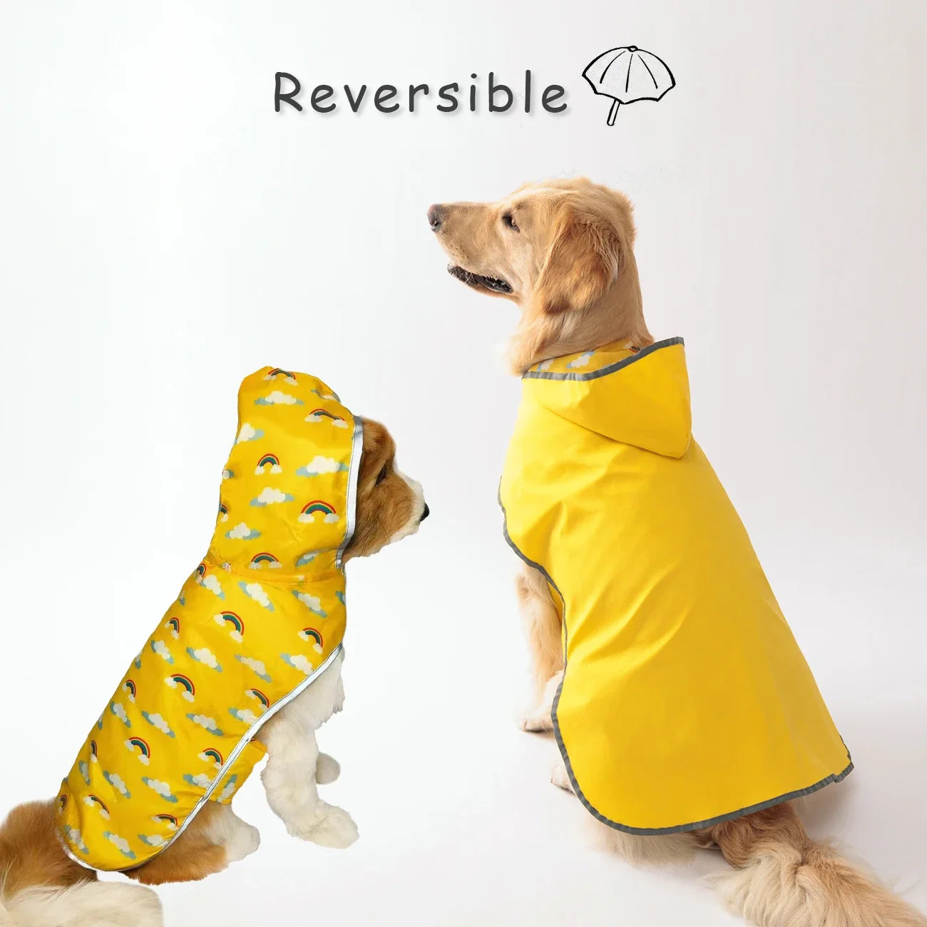 Reversable Double-Layer Raincoat