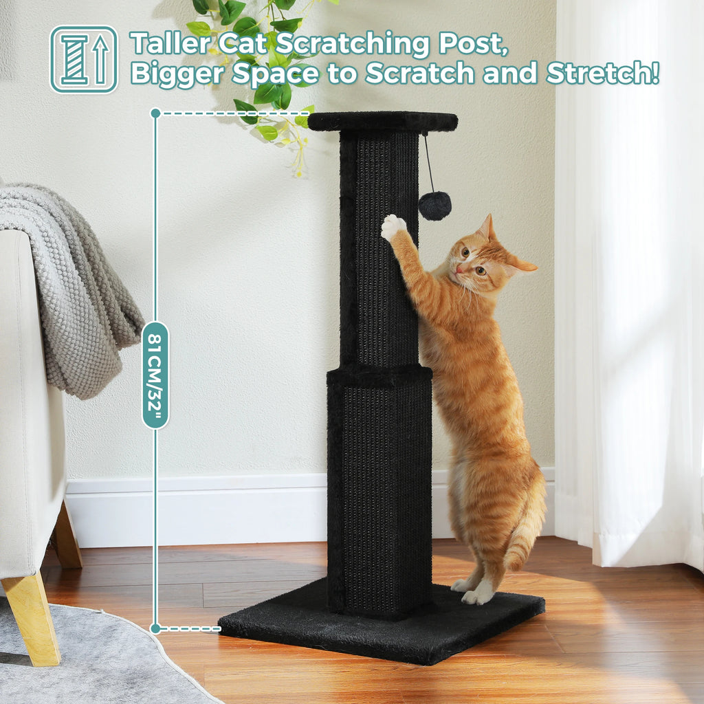 Ultimate Cat Scratch Post
