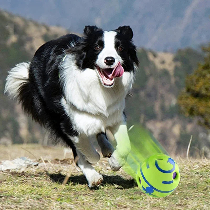 Giggle Ball Dog Toy