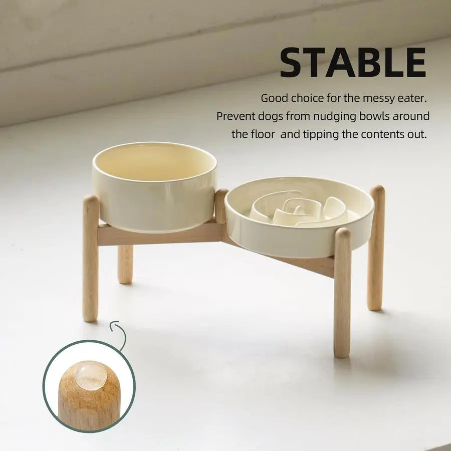 Raised Slow Feeder Dog Bowl 🐶