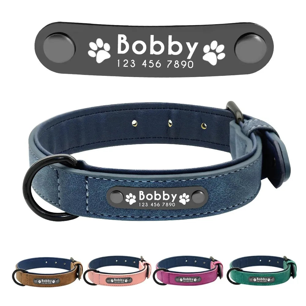 Custom ID Dog Collars