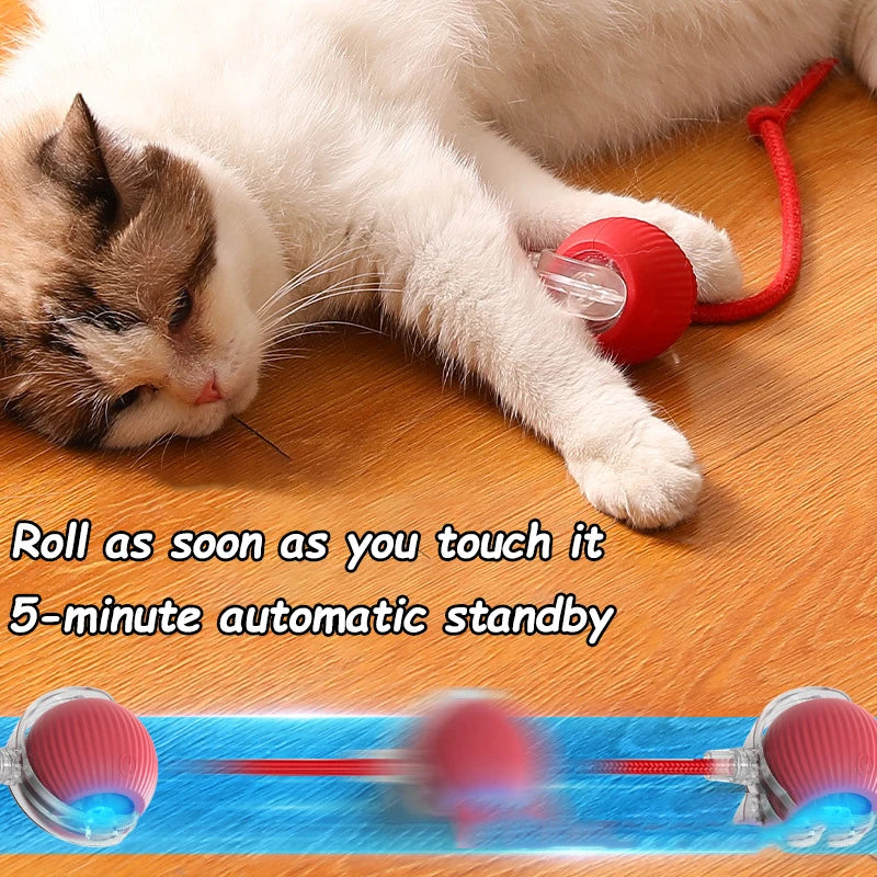 Interactive Ball & Rechargeable Mouse