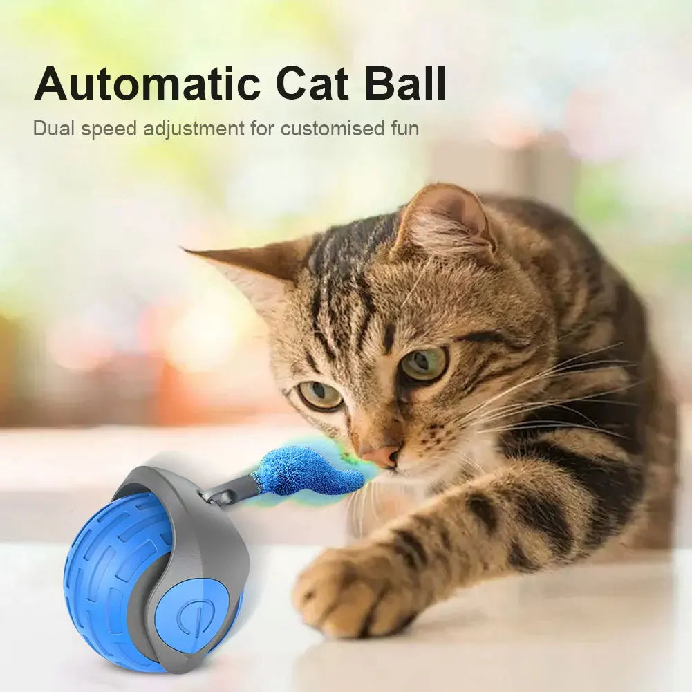 Rechargeable Smart Pet Rolling Ball