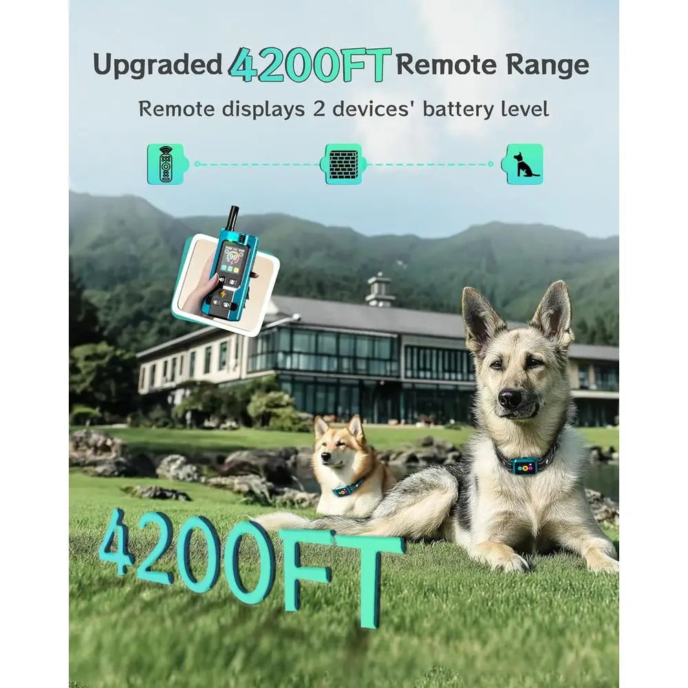 Smart Dog Training Collar with Remote & Activity Tracker