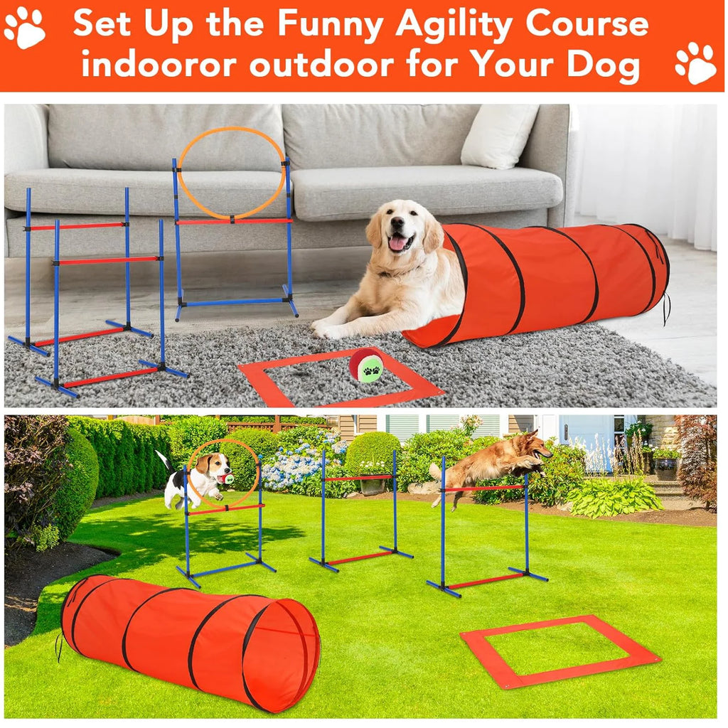 Complete Dog Obstacle Course