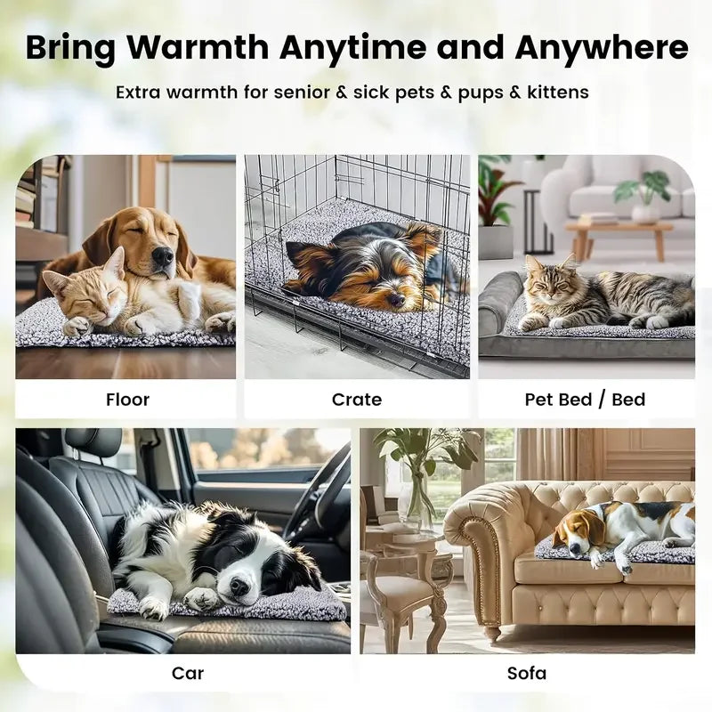 Self-Heating Pet Blanket