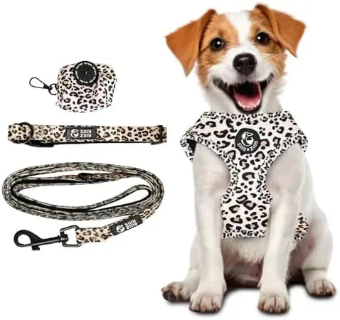 4-Piece Leopard Print Dog Set