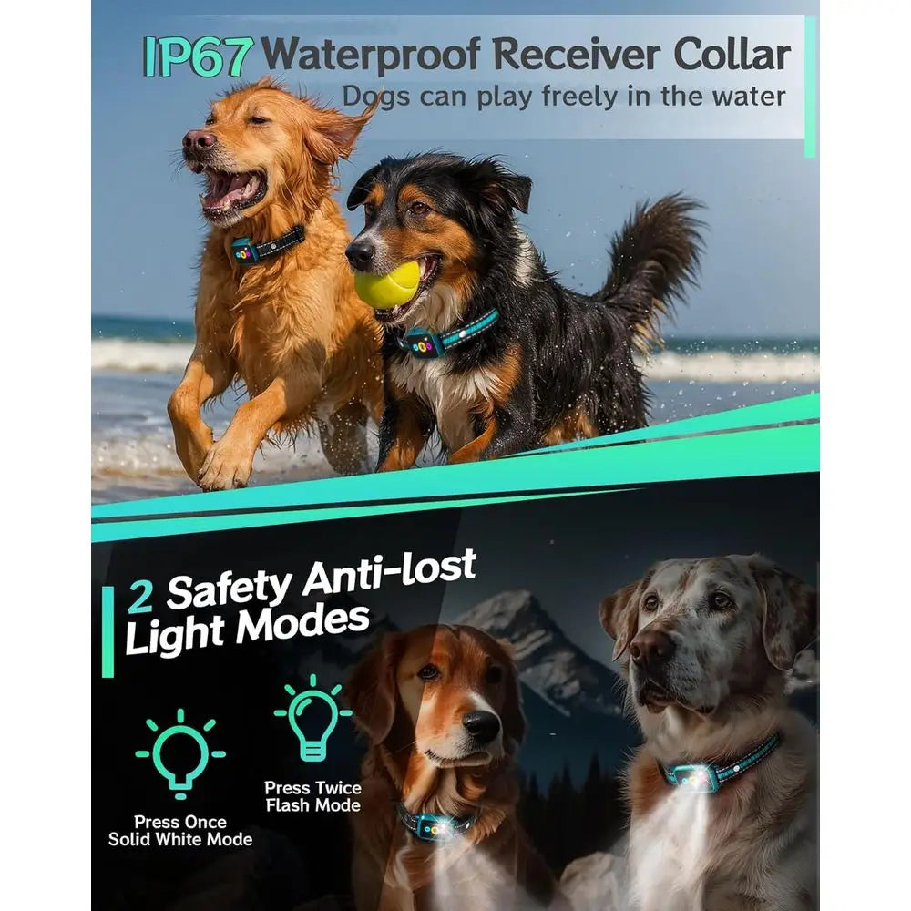 Smart Dog Training Collar with Remote & Activity Tracker