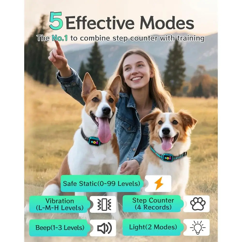 Smart Dog Training Collar with Remote & Activity Tracker