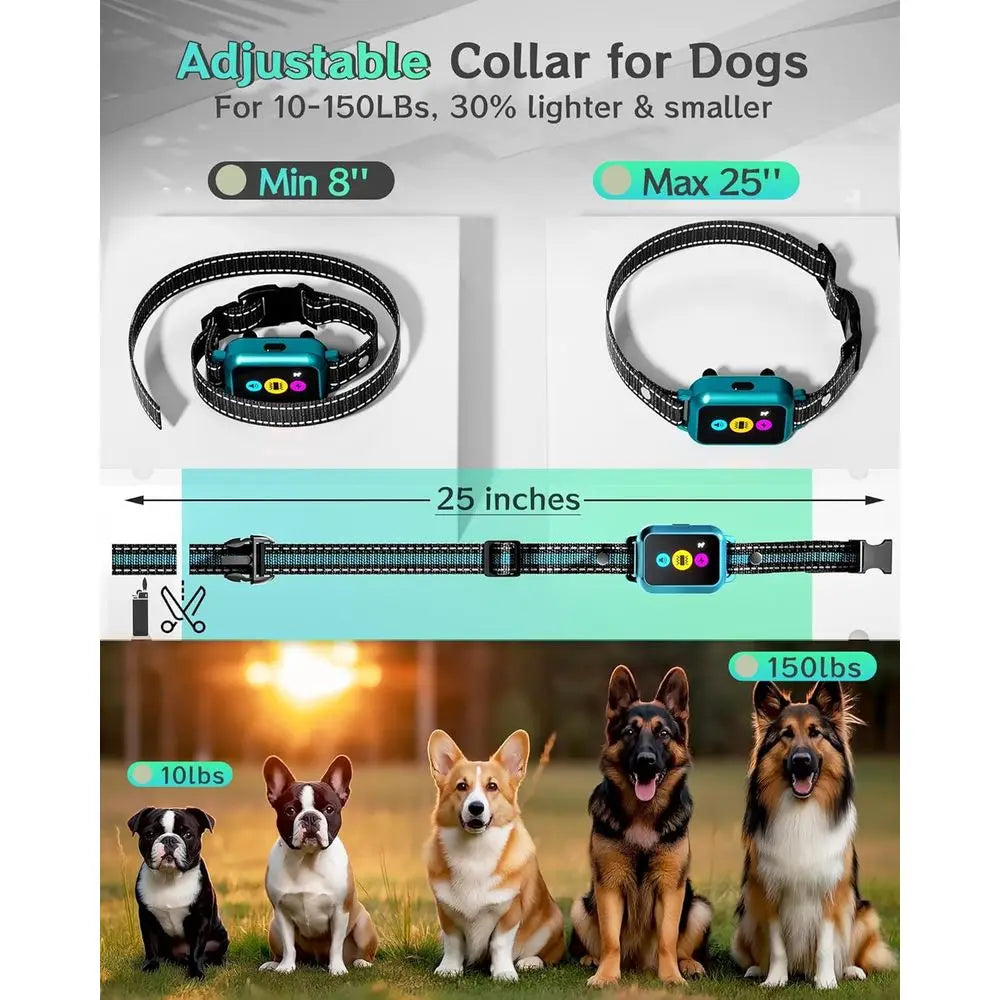 Smart Dog Training Collar with Remote & Activity Tracker