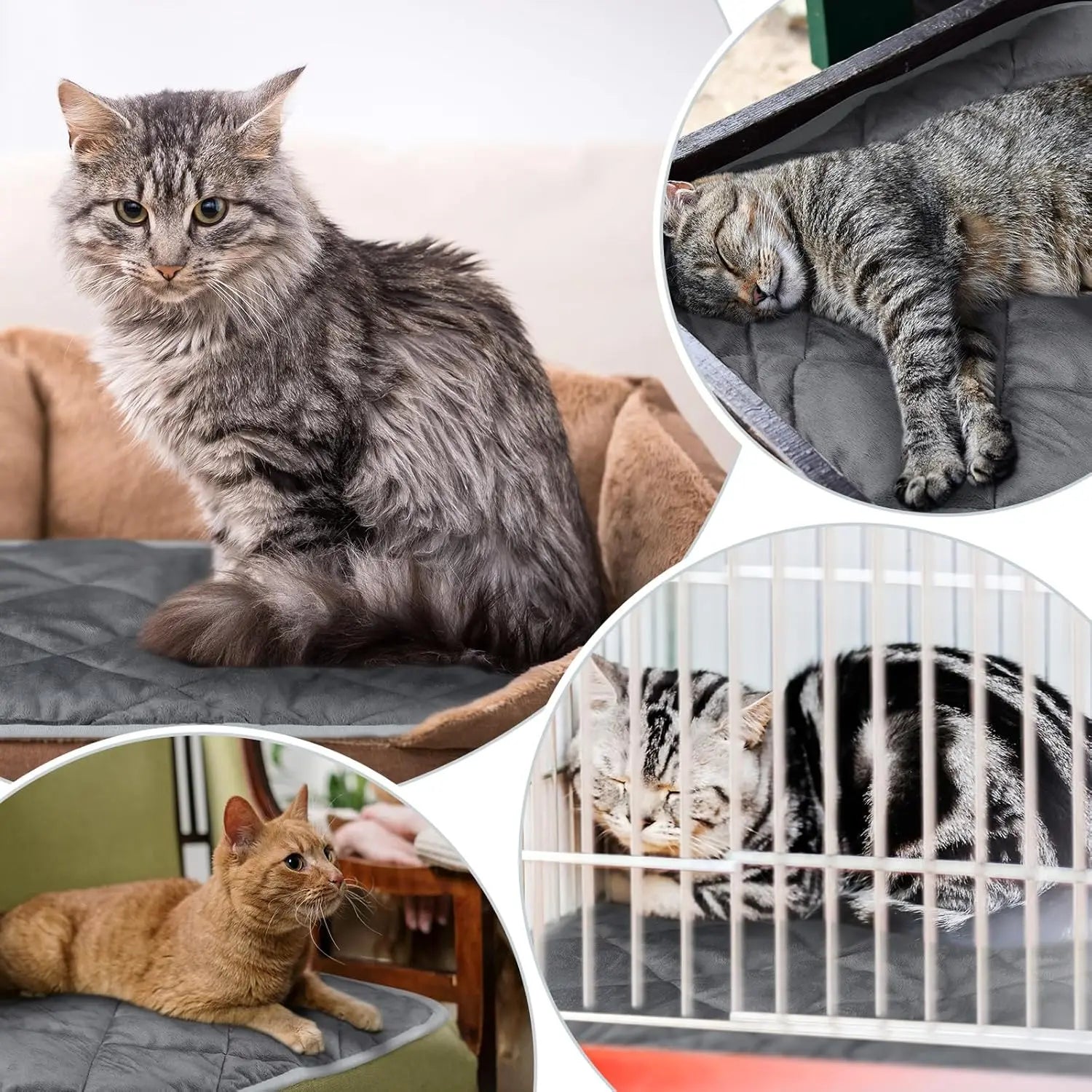 4 Pack Thermal Pet Pad