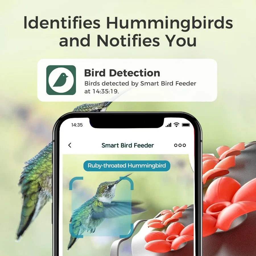 Solar Powered Glass Smart Hummingbird Feeder with Camera
