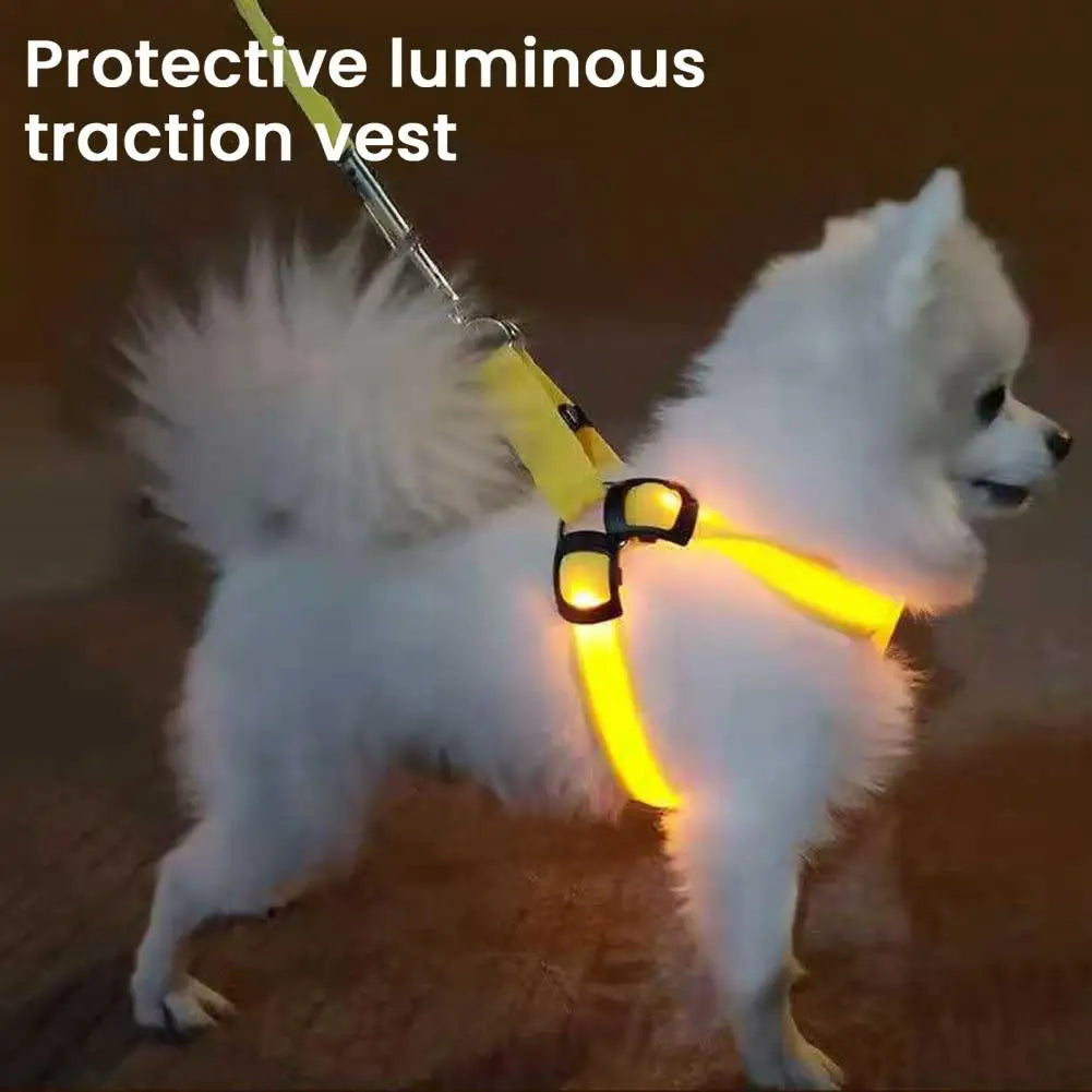 USB Rechargeable LED Pet Harness