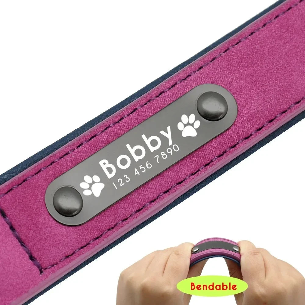 Custom ID Dog Collars