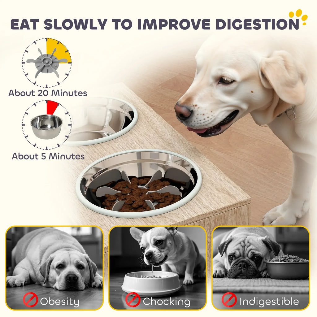 Elevated Dog Bowls with Hidden Storage